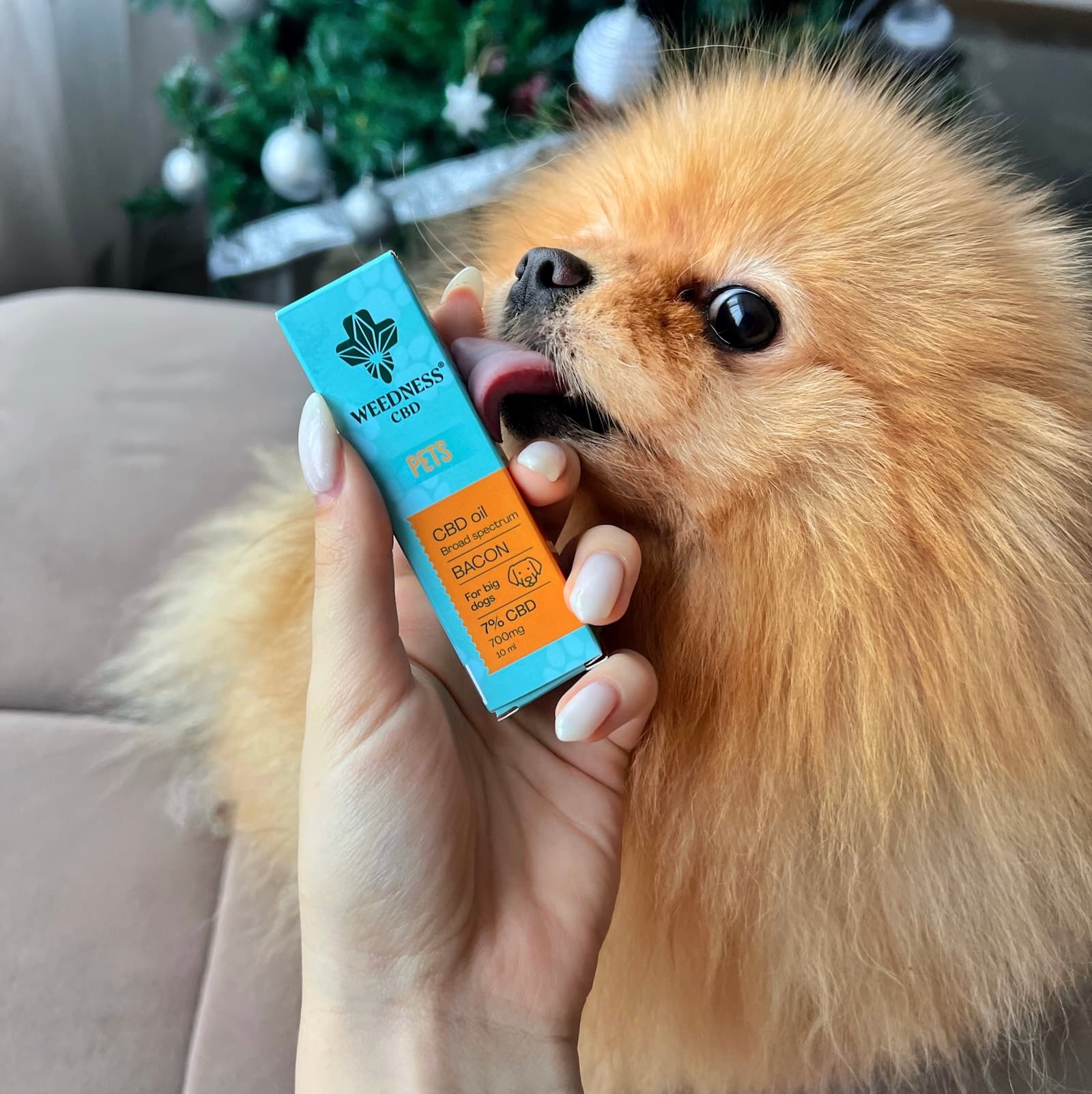 Olio CBD 7% per Cani Grandi | Bacon 10ml